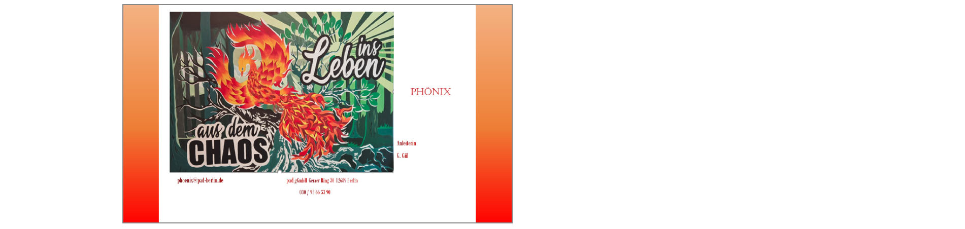 Katalog Phoenix